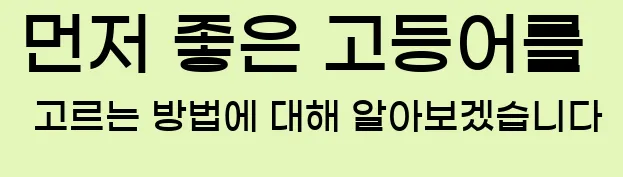  먼저 좋은 고등어를 고르는 방법에 대해 알아보겠습니다
