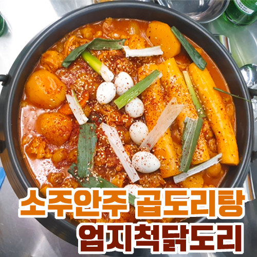 곱도리탕 맛집 마산 산호동 엄지척 닭도리