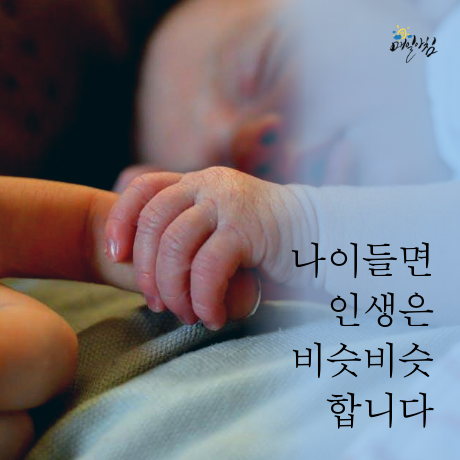  [매일아침좋은글] 나이들면 인생은 비슷비슷 합니다