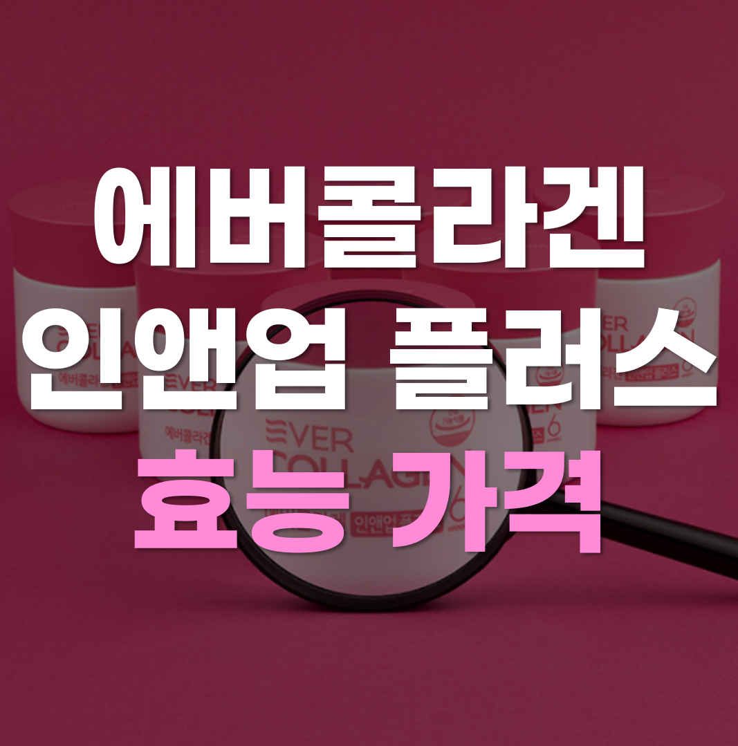  에버콜라겐 인앤업 플러스 효능 가격