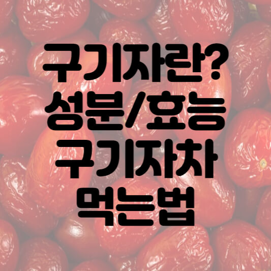 구기자란-썸네일-사진