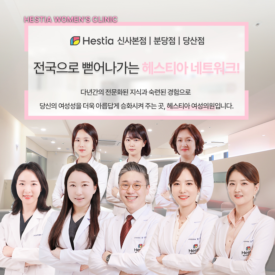 헤스티아 네트워크