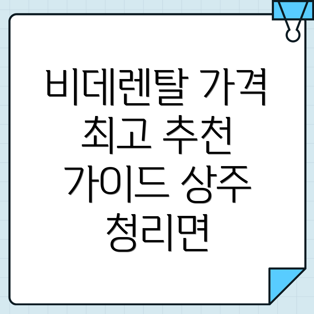 비데렌탈 가격