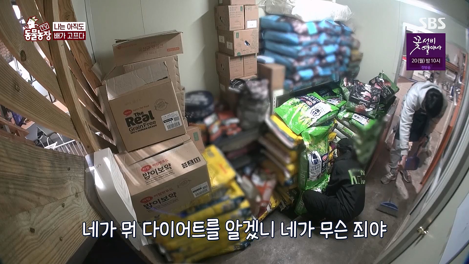 TV 동물농장.E1111.230312p.H264-F1RST.mp4_20230312_180001.633.jpg