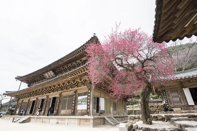 화엄경 이란 해석 독해 구절_4