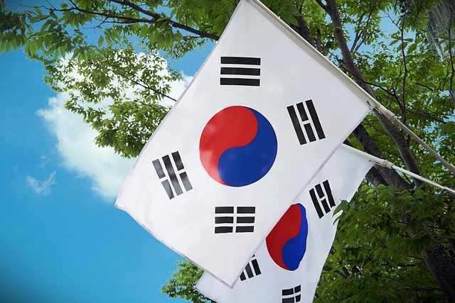 대한민국-국기