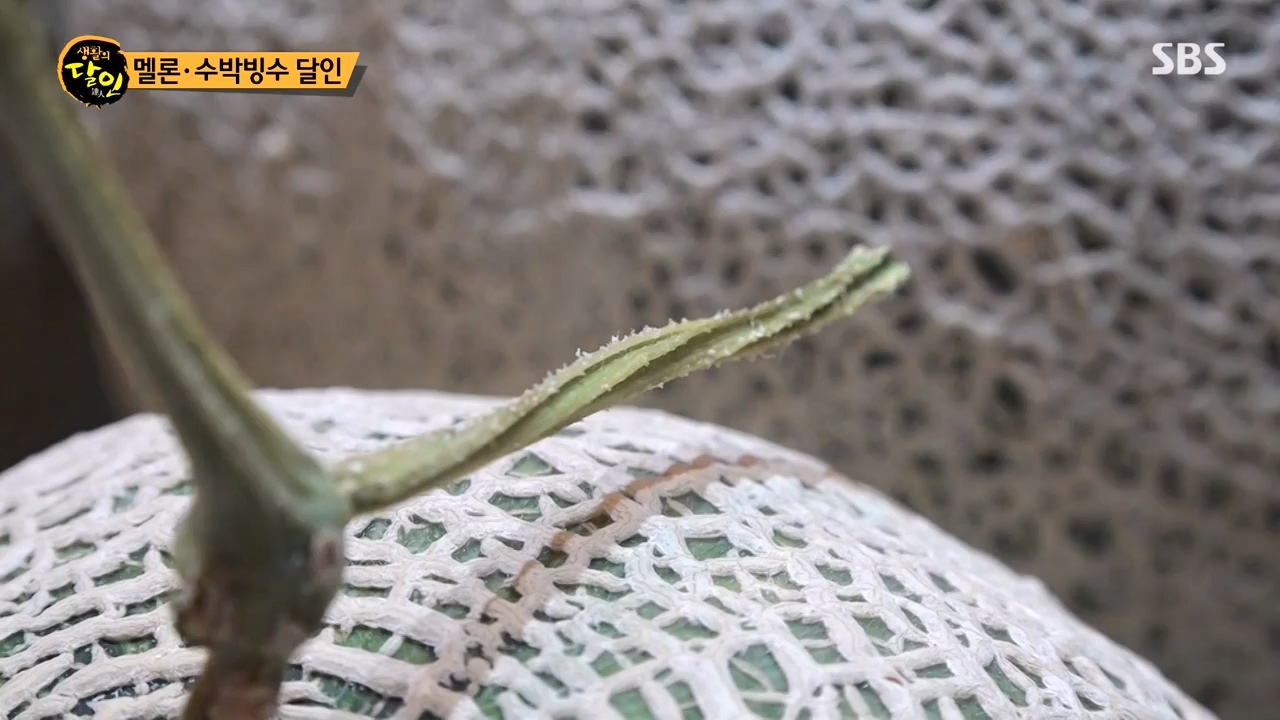 생활의 달인.E901.230815p-NEXT.mp4_20230815_170123.065.jpg
