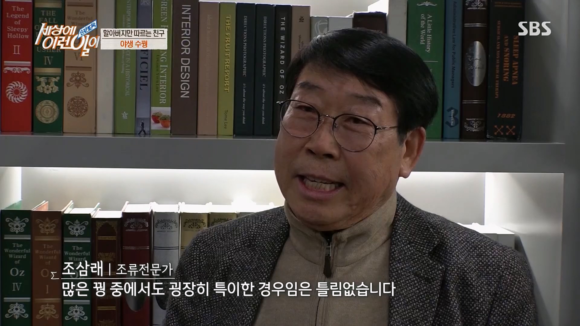 순간포착 세상에 이런일이.E1224.230404p.H264-F1RST.mp4_20230405_193508.964.jpg