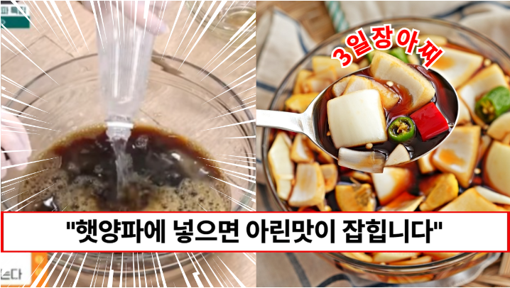 “양파의 맵고 아린맛이 싹 사라집니다” 단 3일만에 깊은 맛이 나는 여름양파장아찌 만드는법