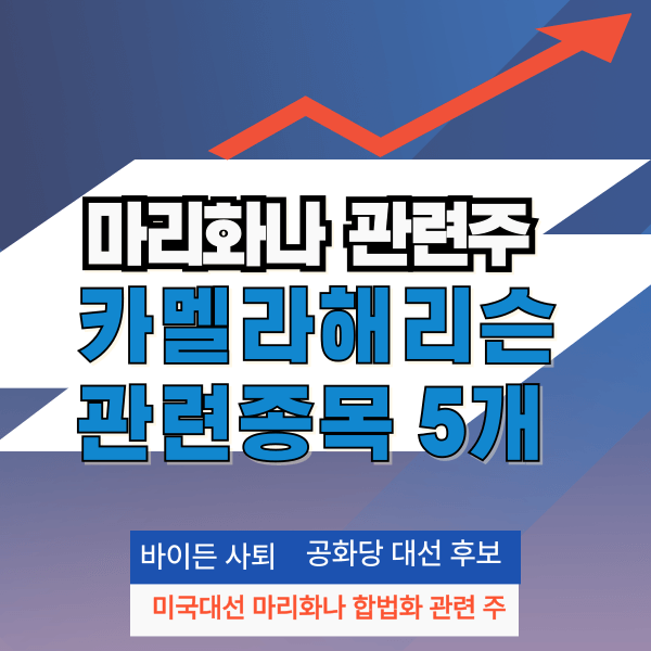 솔라엣지테크놀리지