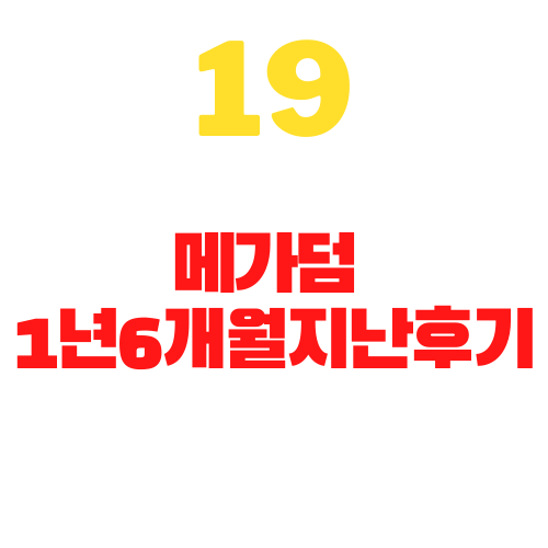 메가덤 1년 6개월 지난 후기 ㅋ 제타덤 실전 여자반은 빅맨 메가덤 1년 6개월 지난 후기 ㅋ 제타덤 실전 여자반은 빅맨