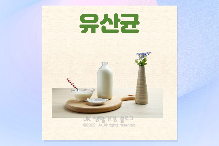  프로바이오틱스 유산균 효능 및 부작용