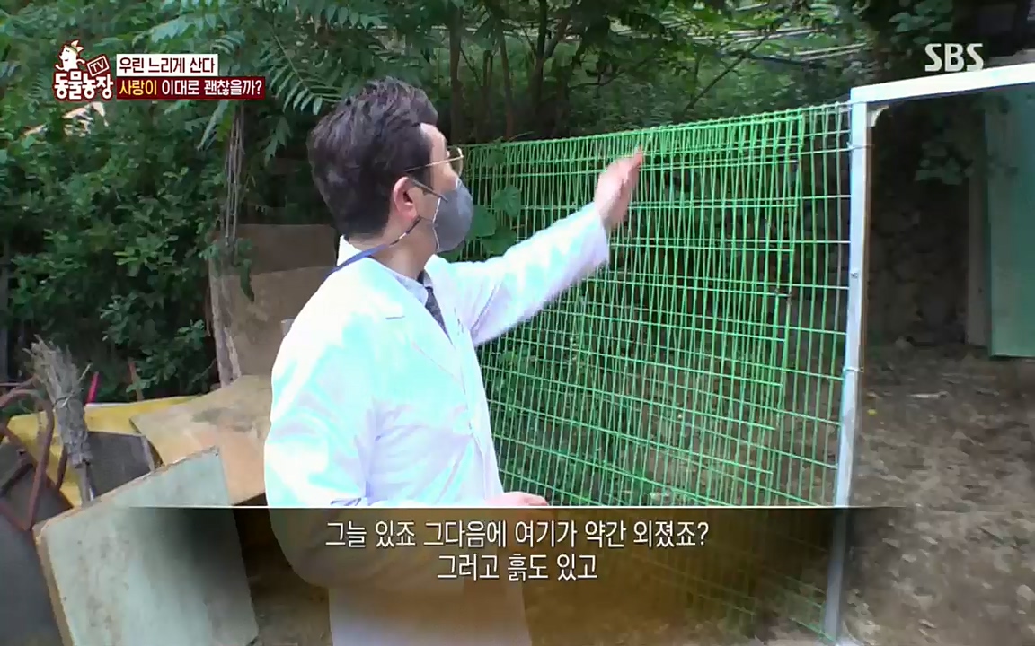 TV 동물농장.E1076.220704p.H264-F1RST.mp4_20220703_175559.040.jpg