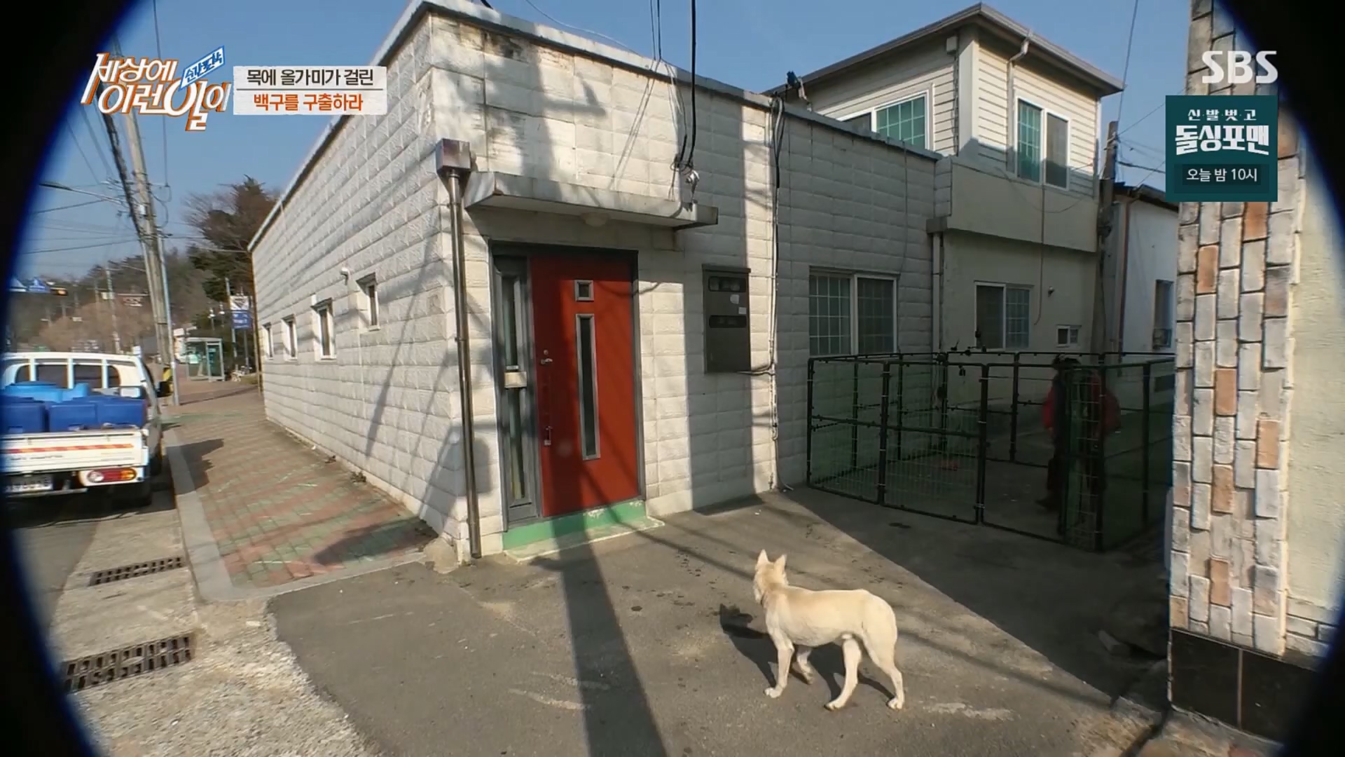 순간포착 세상에 이런일이.E1219.230228p.H264-F1RST.mp4_20230301_165037.384.jpg