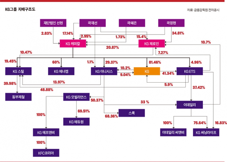 KG그룹 지배구조도