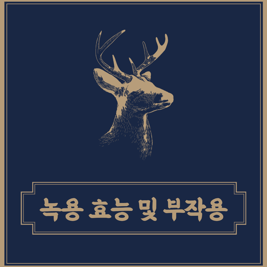  녹용 효능 그리고 녹용 부작용