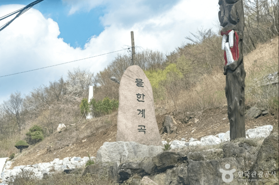 영동군 물한계곡