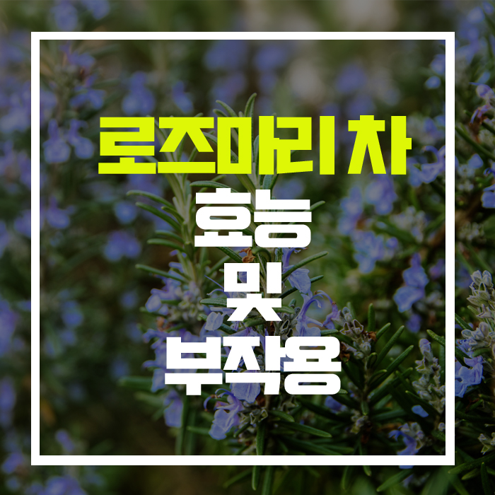  탈모와 스트레스 해소에 탁월, '로즈마리'차 효능 및 부작용!