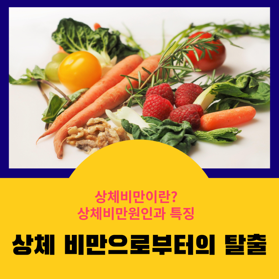  상체비만이란? 원인과특징 비만으로부터의 탈출