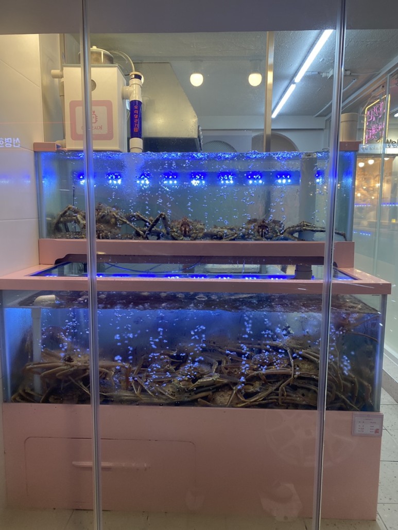 맛집 어서오시게 ft.대게손질법 홈파티음식배달 학동역 6