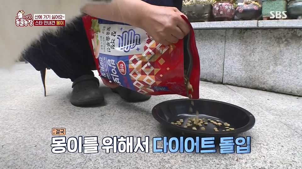 TV 동물농장.E1128.230709p.H264-F1RST.mp4_20230709_183523.326.jpg