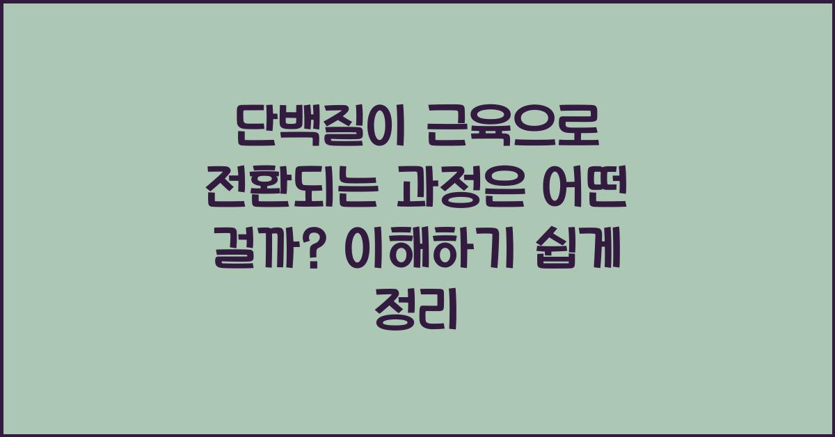 단백질이 근육으로 전환되는 과정은 어떤 걸까?  