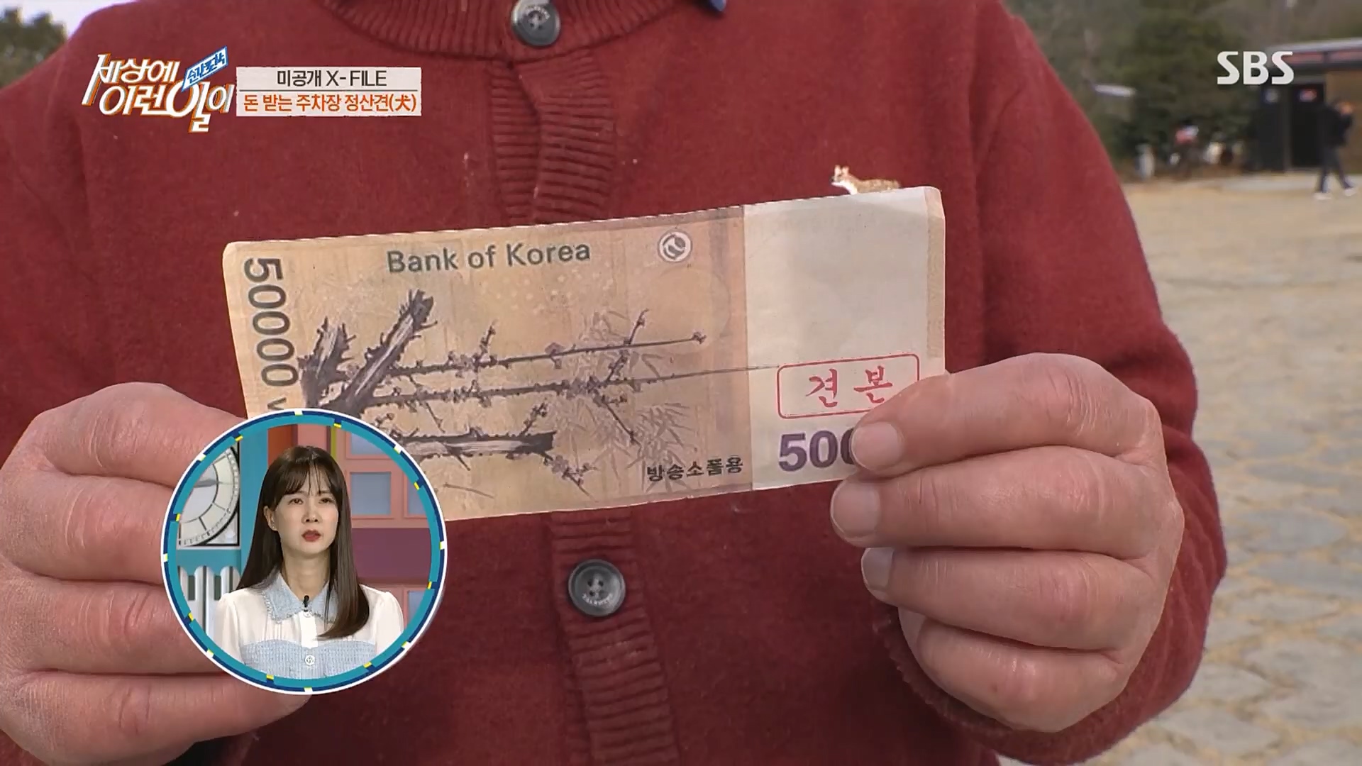 순간포착 세상에 이런일이.E1220.230307p.H264-F1RST.mp4_20230308_193451.620.jpg