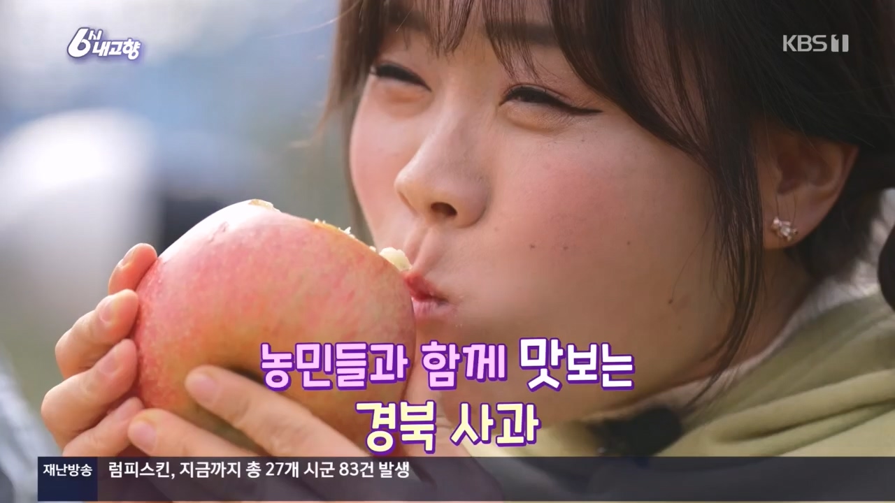 6시 내고향.E7907.231108p.H264-F1RST.mp4_20231108_204717.359.jpg