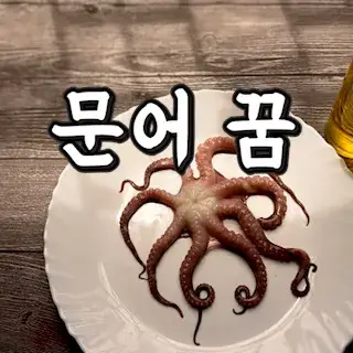 문어-낙지-먹는-잡는-잡히는-꿈-해몽-풀이-Octopus