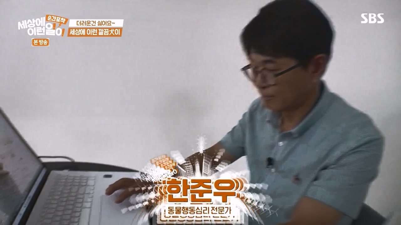 순간포착 세상에 이런일이.E1243.230827p-NEXT.mp4_20230827_173824.418.jpg