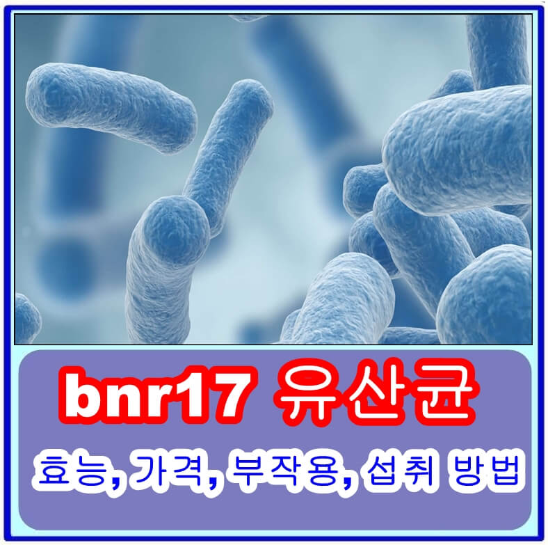  bnr17 유산균, 체지방 감소의 비결은? 효능, 가격, 부작용, 섭취 방법 총정리