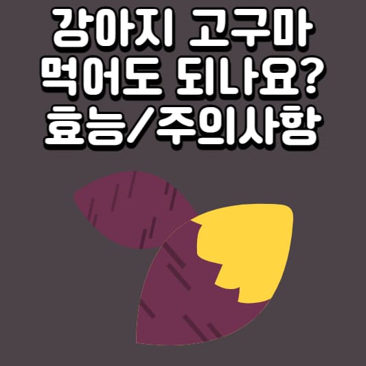 강아지 고구마
고구마 효능
강아지 고구마 급여
찐 고구마 강아지
구운 고구마 강아지