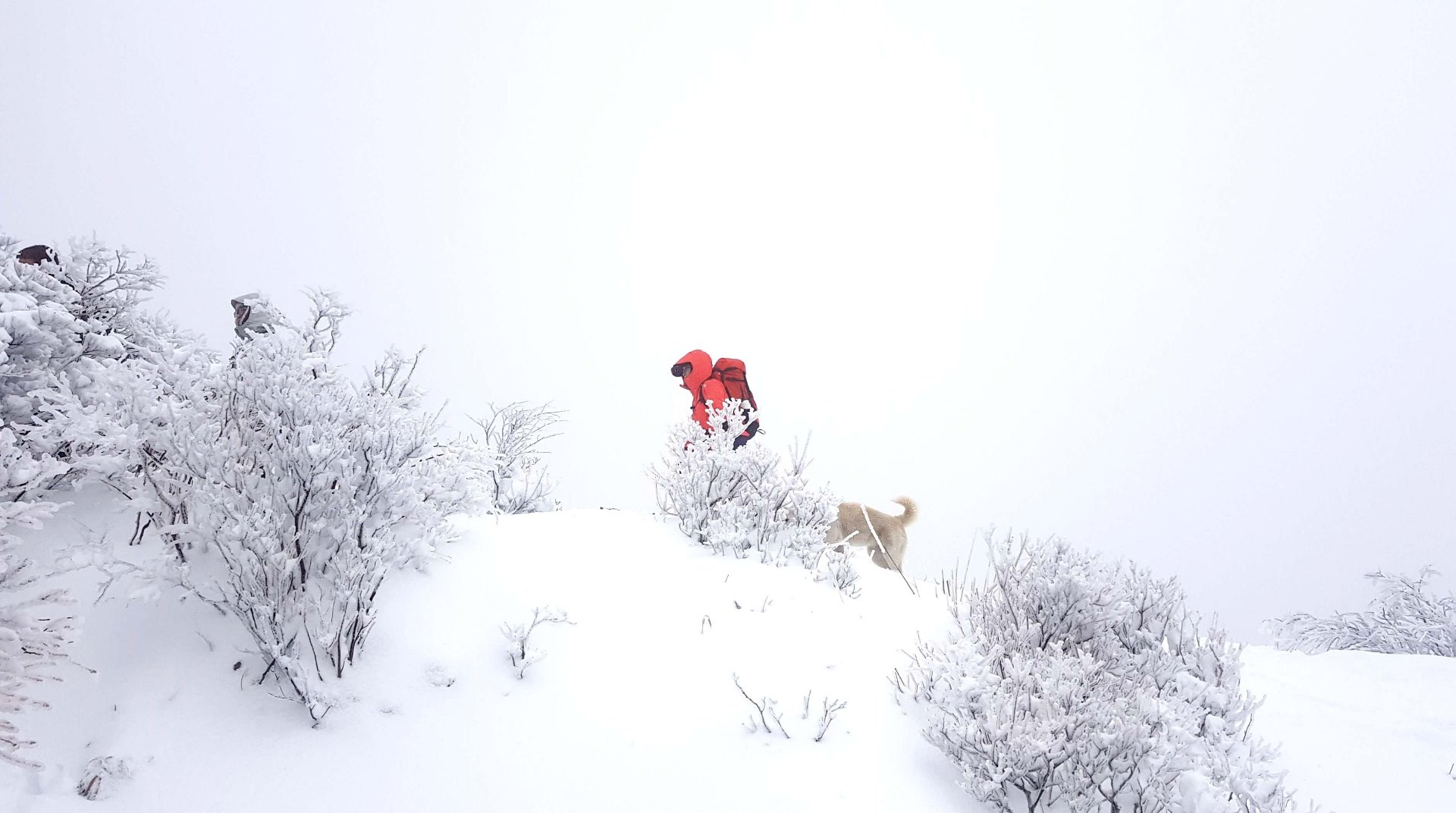 울산 가지산 정상 설경
