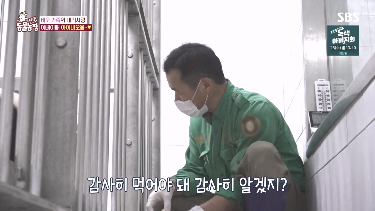TV 동물농장.E1142.231023p-NEXT.mp4_20231022_173955.257.jpg