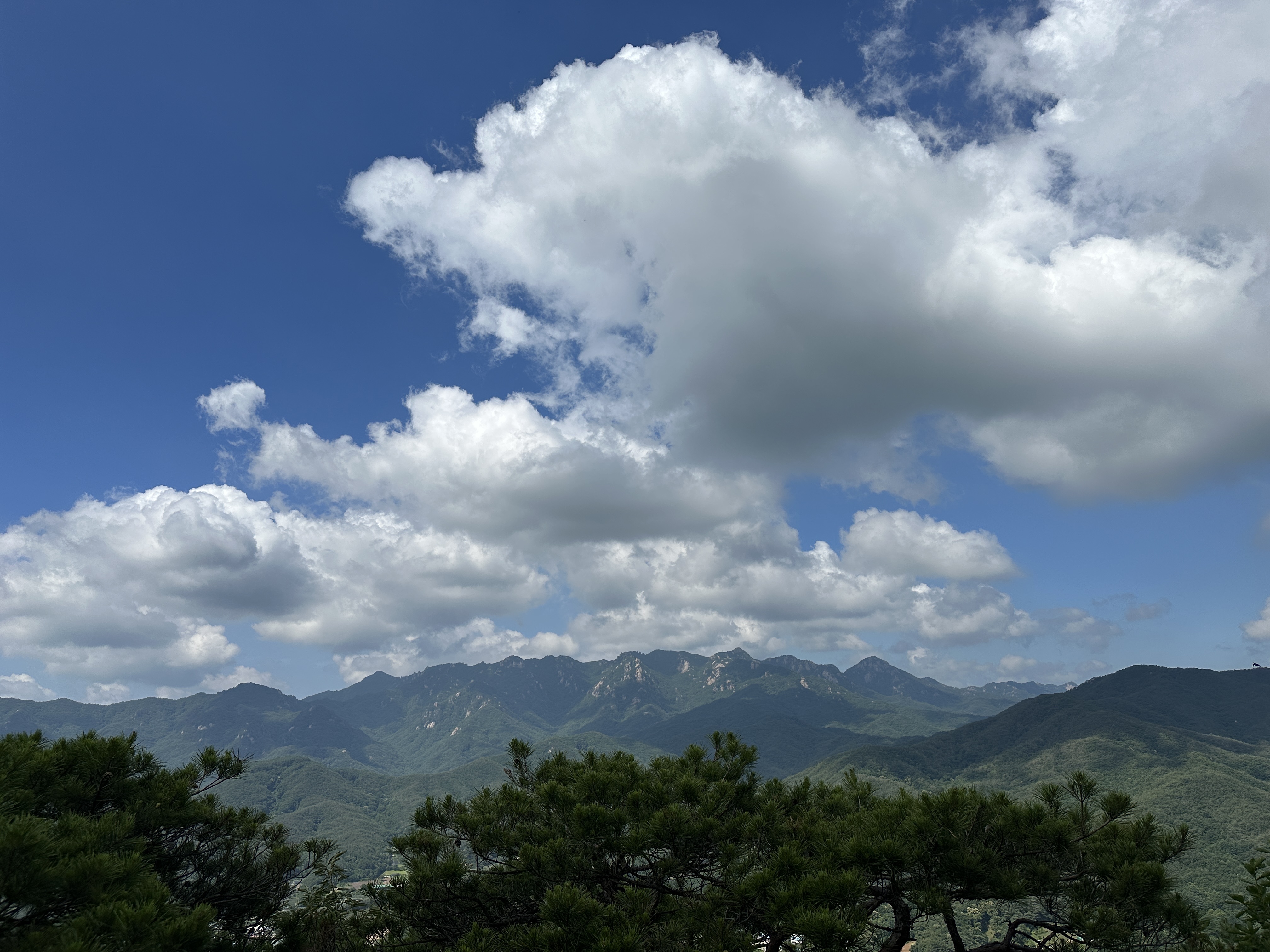 청화산 등산코스