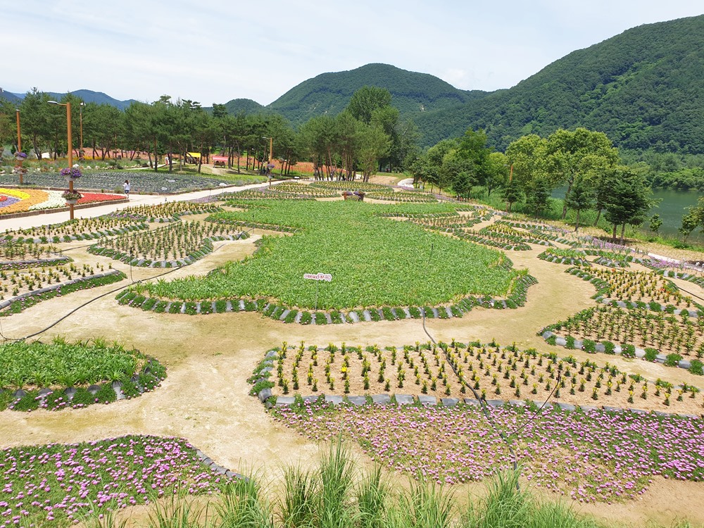 남도-꽃정원-한반도모형-꽃밭길-이미지