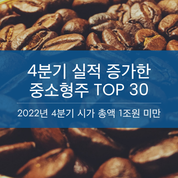 작년 4분기 실적 증가 한 시가 총액 1조원 미만 기업 TOP 30