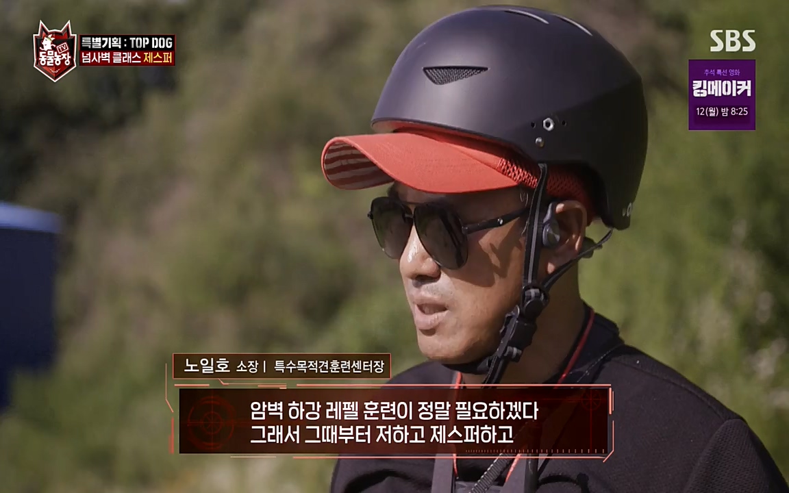 TV 동물농장.E1085.220905p-NEXT.mp4_20220904_173553.867.jpg