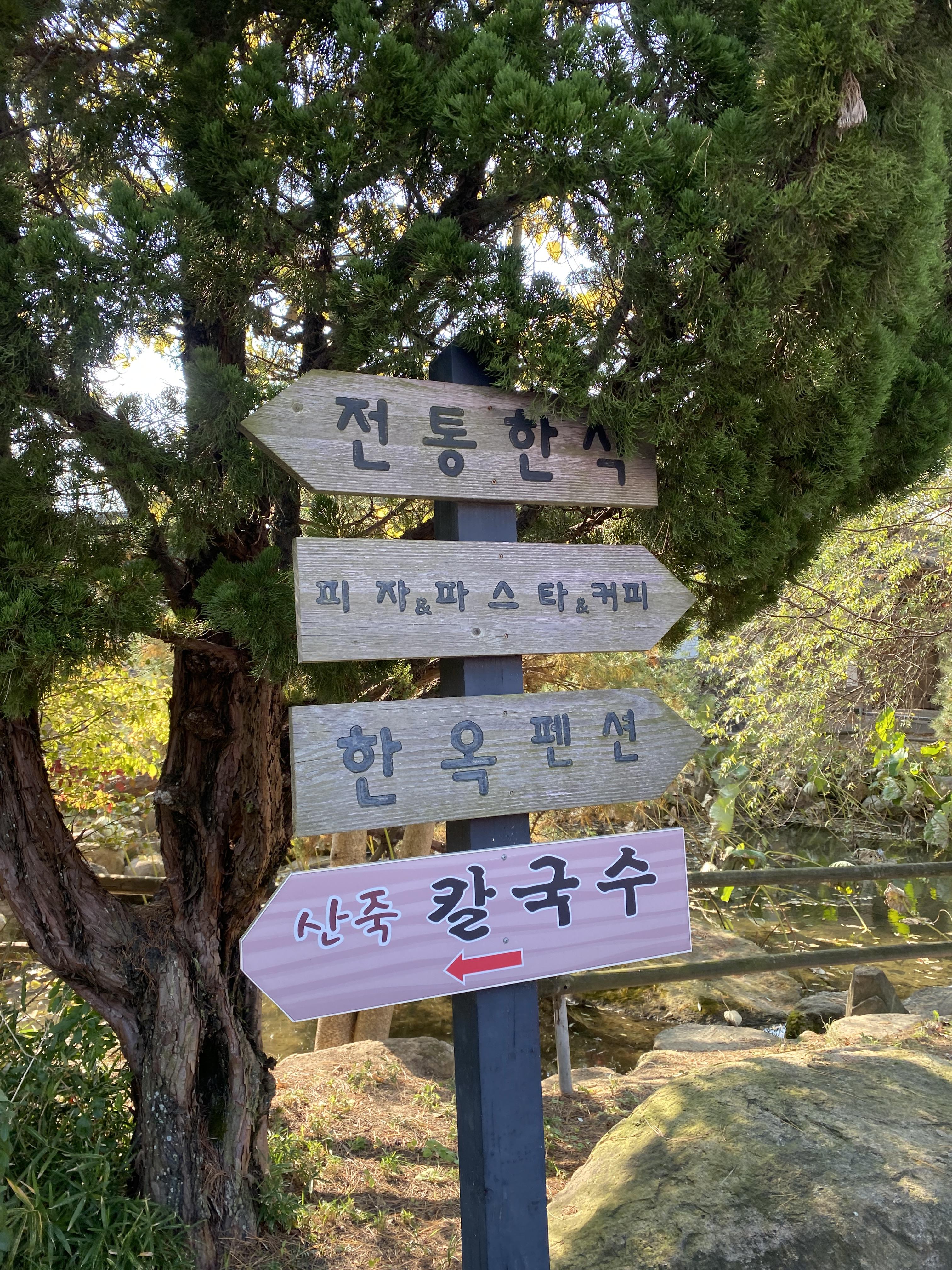 산죽칼국수 이미지