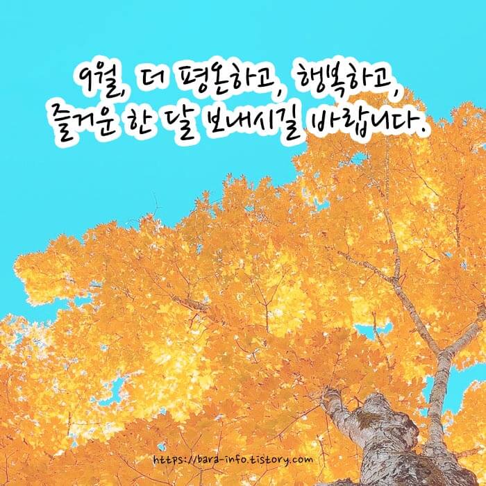 안부 인사글