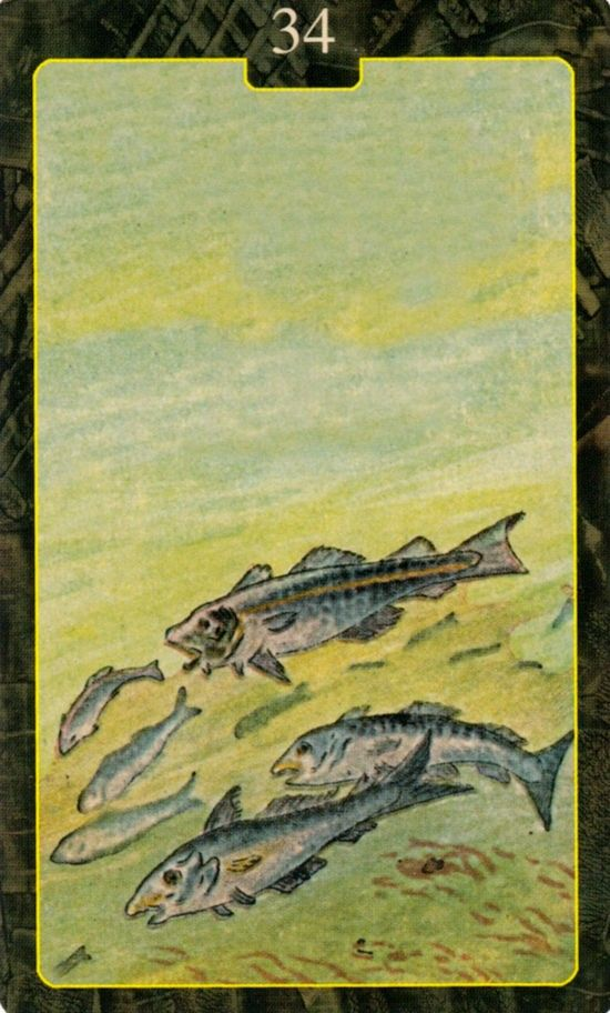  [레노먼드카드배우기]34.Fish 물고기 해석 및 의미