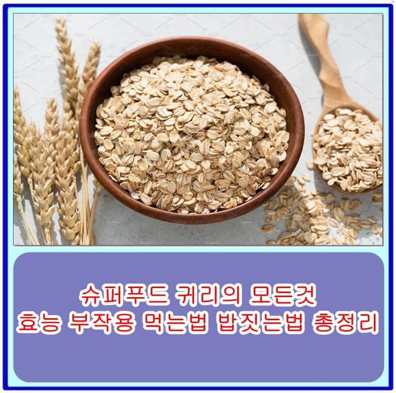  슈퍼푸드 귀리의 모든것 : 효능, 부작용, 먹는방법, 밥짓는법 총정리