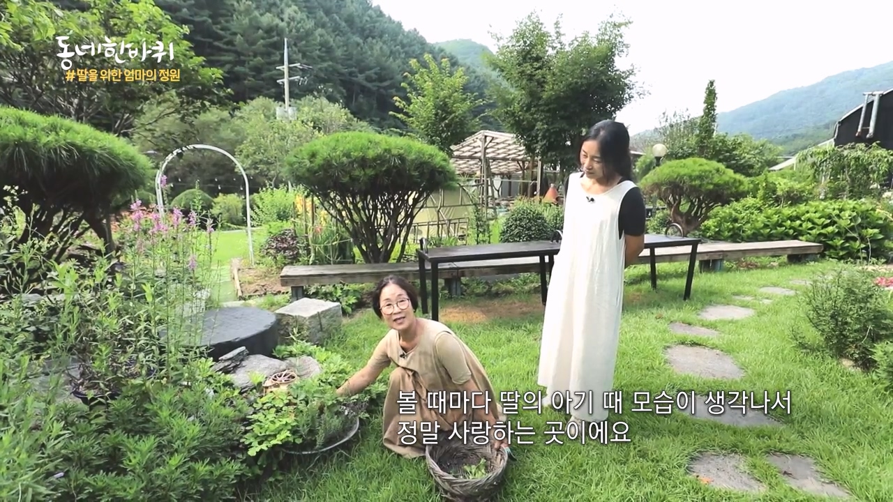동네 한 바퀴.E237.230827p-NEXT.mp4_20230829_210233.955.jpg