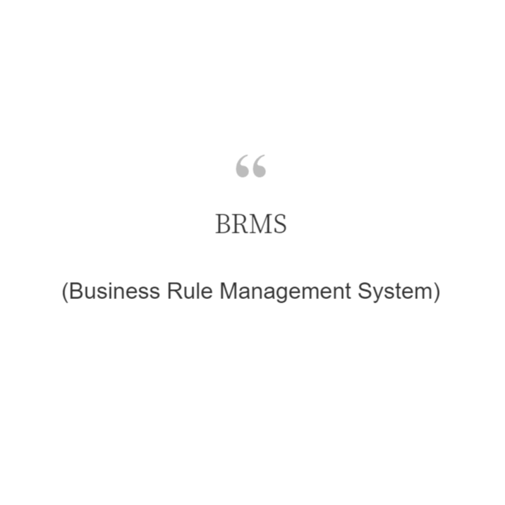  BRMS(Business Rule Management System)란?
