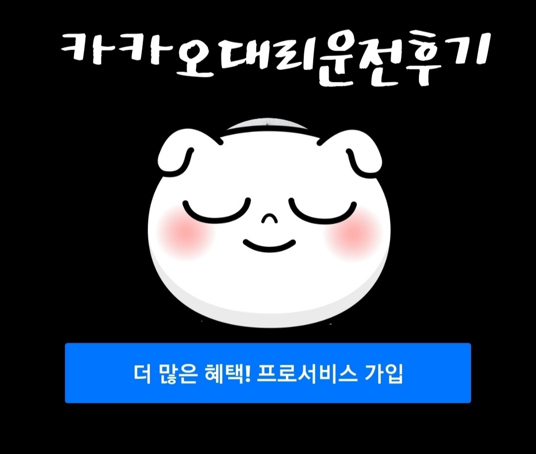  카카오 대리운전 후기 2탄