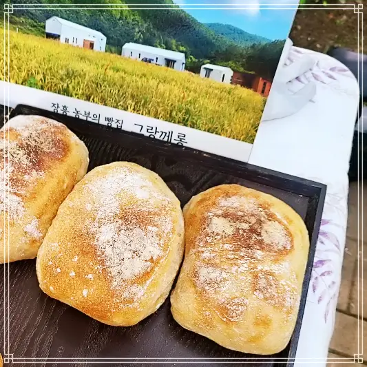  12월8일 생방송 오늘저녁 천연 발효종 유기농빵 추천 바게트, 견과류빵, 치아바타 맛집 장흥 그랑께롱 SNS 전국 택배 주문 쇄도 빵지순례 농부 빵집 가격 위치 어디