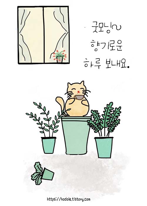 굿모닝 이미지