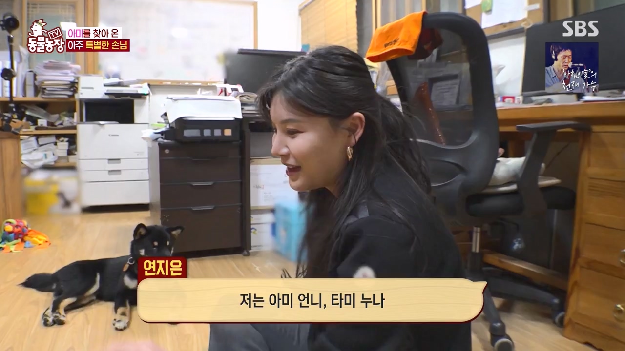 TV 동물농장.E1168.240422p-NEXT.mp4_20240421_170934.782.jpg