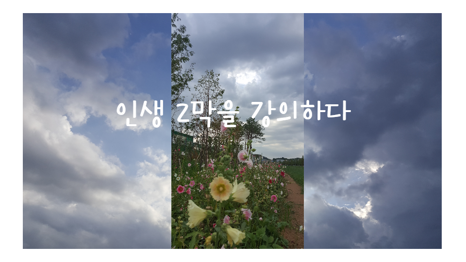  (책쓰기) 인생 2막을 강의하다
