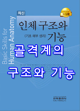  [인체 구조와 기능] 04 골격계의 구조와 기능 summary